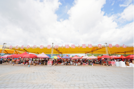 鎮隆荔枝：打好“三張牌”，助“荔”“百千萬工程”出新出彩！.doc_1