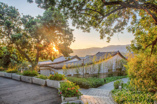 惠陽秋長谷里。 受訪者 供圖 惠陽秋長谷里。 受訪者 供圖